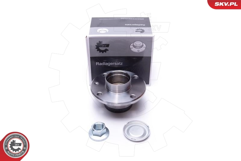 Wheel Bearing Kit